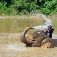 Visiting Elephants camp 