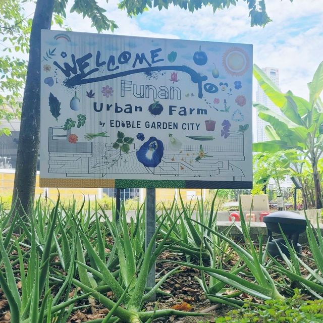 Urban Farm at Funan