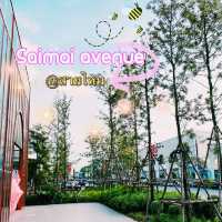 saimai avenue 