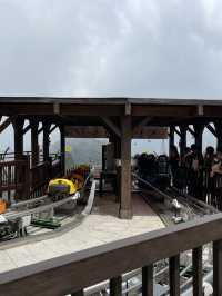 Alpine Coaster @ Ba Na Hills