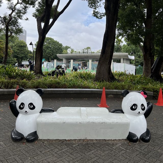 Relaxing Stroll at Ueno Park