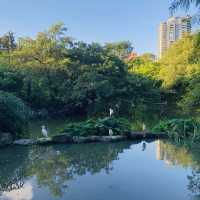 風光明媚🪷🌤Daan Forest Park 大安森林公園