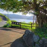 【奄美大島】宮古崎