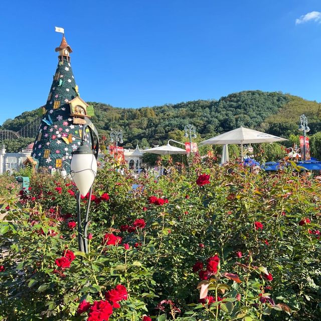 🇰🇷🌹 Rose Garden