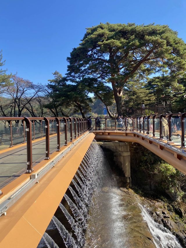 제천에 가면 꼭 가봐야 할 의림지 💙