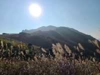 【秋冬賞芒系列~大東山🌾】