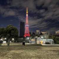 สวนสาธารณะชิบะแห่งกรุงโตเกียว🌷🗼