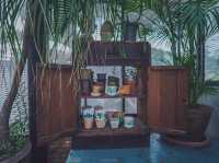 คาเฟ่ฟีลดีเหมือนนั่งเล่นบ้านเพื่อน