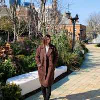 Take a scenic stroll from The Rockbund