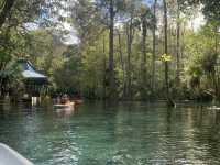 Kayaking in Gainesville- Seeing alligators🐊 