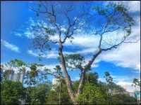 Walking around Colombo (Sril Lanka)