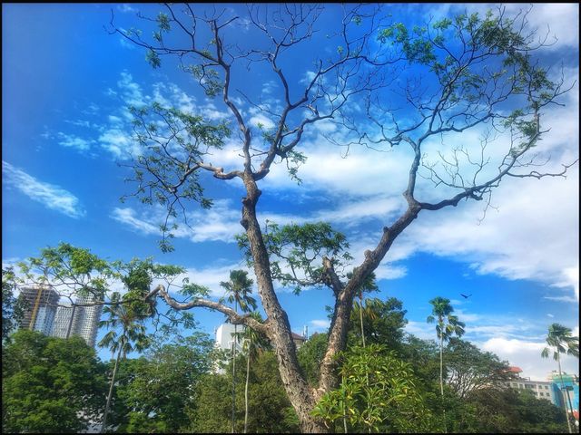Walking around Colombo (Sril Lanka)