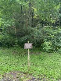 Roaring Fork Motor Natural Trail