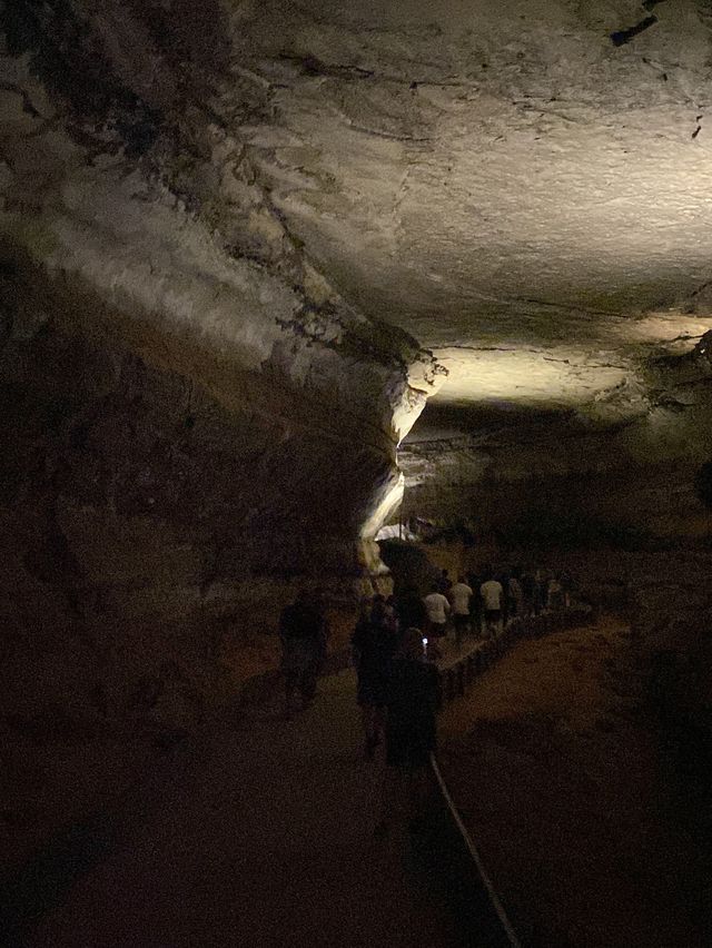 Mammoth Cave National Park