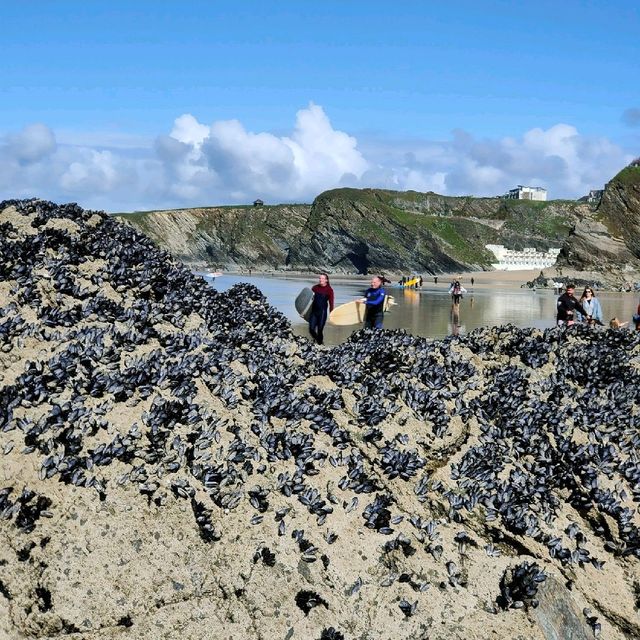 Newquay beaches