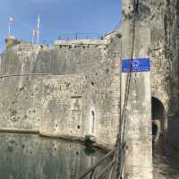amazing city wall Kotor 