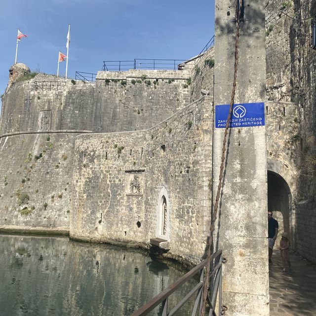 amazing city wall Kotor 