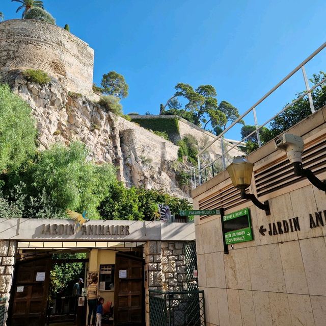 Climb the Rock of Monaco 🇲🇨 
