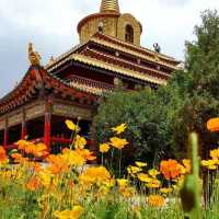 The Largest Monastery Outside of Tibet