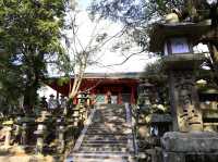 世界文化遺產日本春日大社