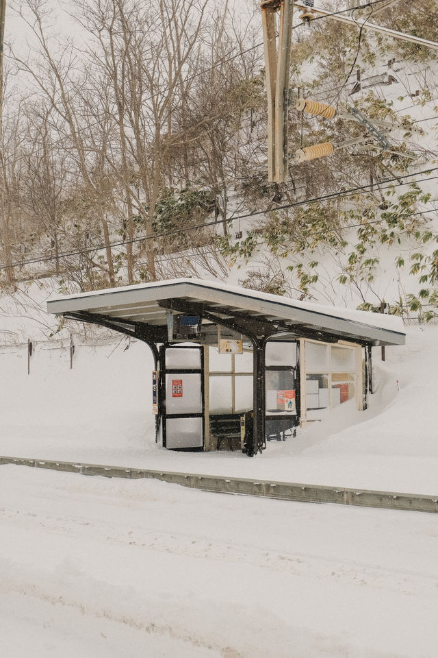 Hokkaido 🇯🇵 Asari, let's take a look at the snow and sea here ❄️