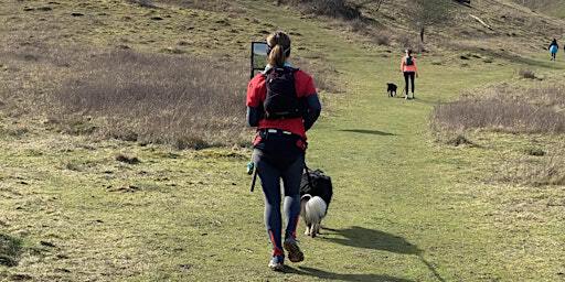 Guided Canicross Trail Run | Therfield Heath, Baldock Road, Royston, UK
