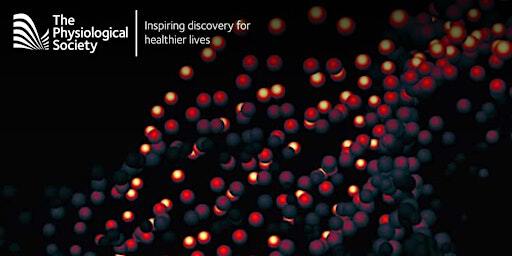 GL Brown Prize Lecture: Professor Charlotte Stagg | Health Innovation Campus