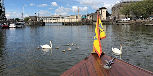 Wildlife Boat Trip - Sold out | Meet at Bristol City Centre Landing