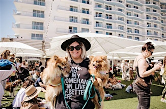 Pup Fest at Paséa Hotel & Spa | Paséa Hotel & Spa