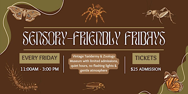 Sensory Friendly Friday | The Insect Asylum