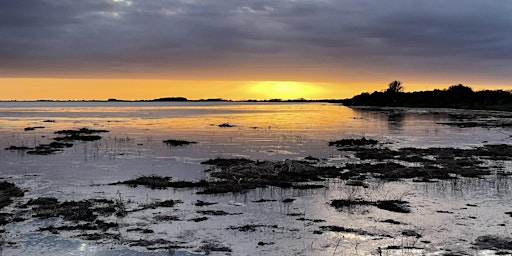 High Tide Breakfast at Gibraltar Point | Gibraltar Point National Nature Reserve