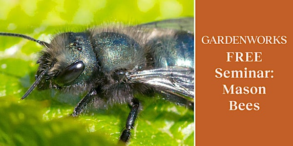 FREE Seminar: Mason Bees with Tom Leahy at GARDENWORKS Saanich | GARDENWORKS Saanich