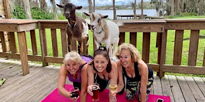 Goat Yoga Tampa lakeside @ In the Loop Brewing in Land O Lakes; 3/29/26 | In the Loop Brewing