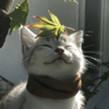 감성한스푼