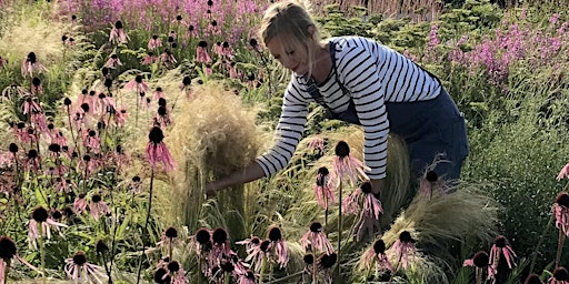Creating micro-habitats through ecological observation | The Grass Roof Co