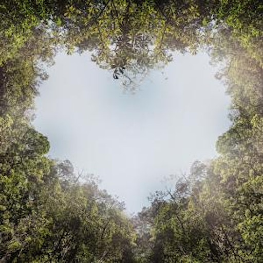 The Art of Forgiveness | Kadampa Meditation Centre Leeds