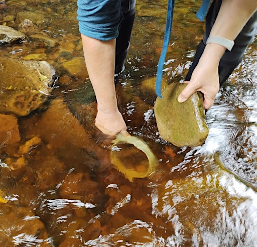 Extreme River Dipping for 8 to 12 year olds | Water of Leith Conservation Trust and Visitor Centre