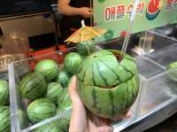 제주 동문시장 야시장