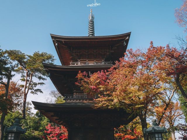 วัดแม่กวัก โกโทคุจิ (Gotokuji Temple) ญี่ปุ่น 🇯🇵