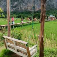 ภูผาม่านโฮมสเตย์ ที่พักกลางทุ่งนา วิวหลักล้าน