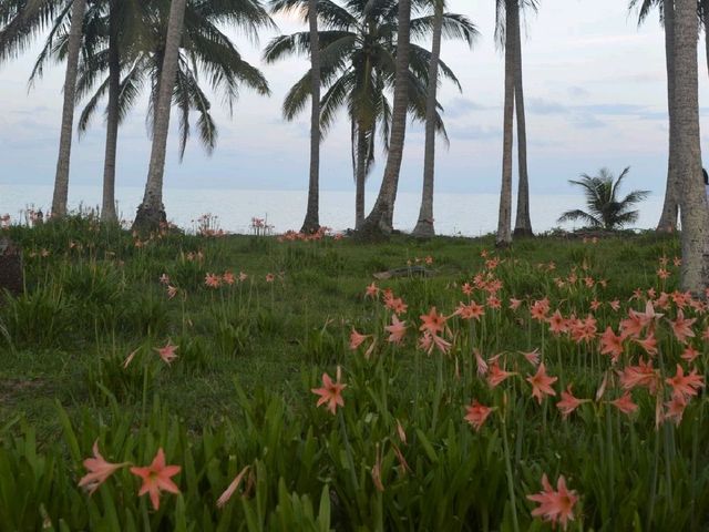 ชิลยามเย็น หาดทรายรีสวี จ.ชุมพร
