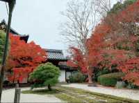京都[紅葉めぐり] 南禅寺　天授庵- 枯山水庭園にて和む -