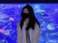 부산 해운대 씨라이프 아쿠아리움 