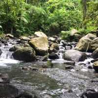 Hiking @ Mount Rinjani