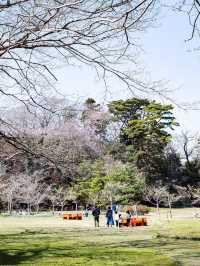 瑞巌寺　五大堂