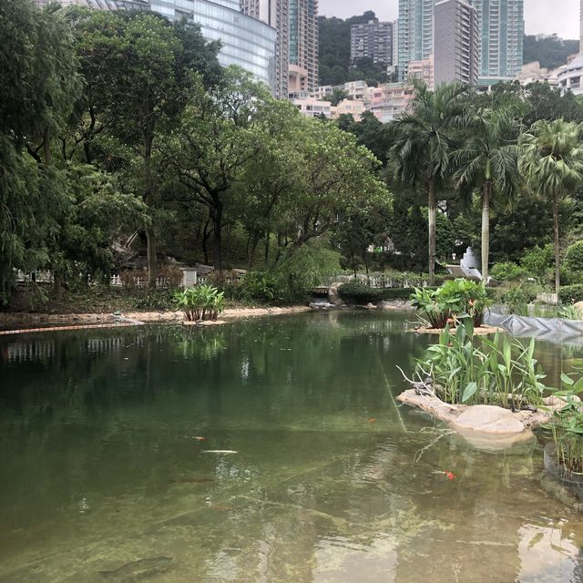 環境舒適嘅市區公園