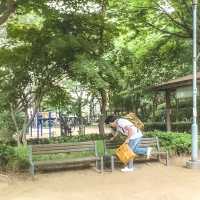 보코서울강남과 함께 한 플로깅 in 서울, 학동근린공원