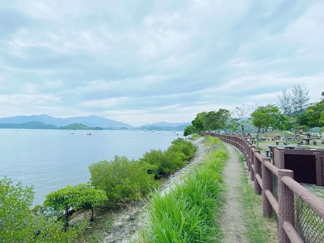 大美督水上單車