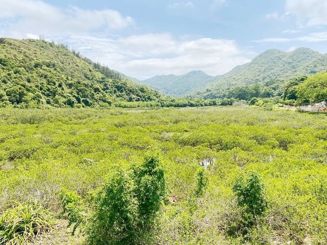 荔枝窩