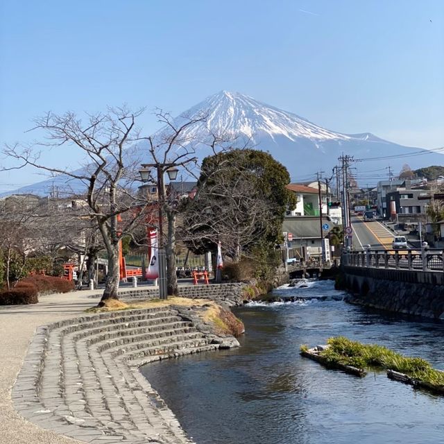 【静岡県】富士山をバックに富士山本宮浅間大社を参拝⛩